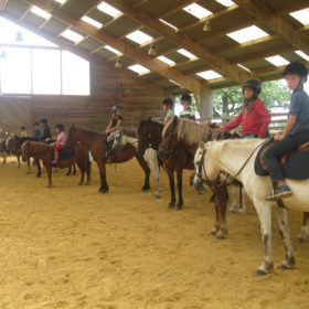 Stage équitation - enfant et chevaux