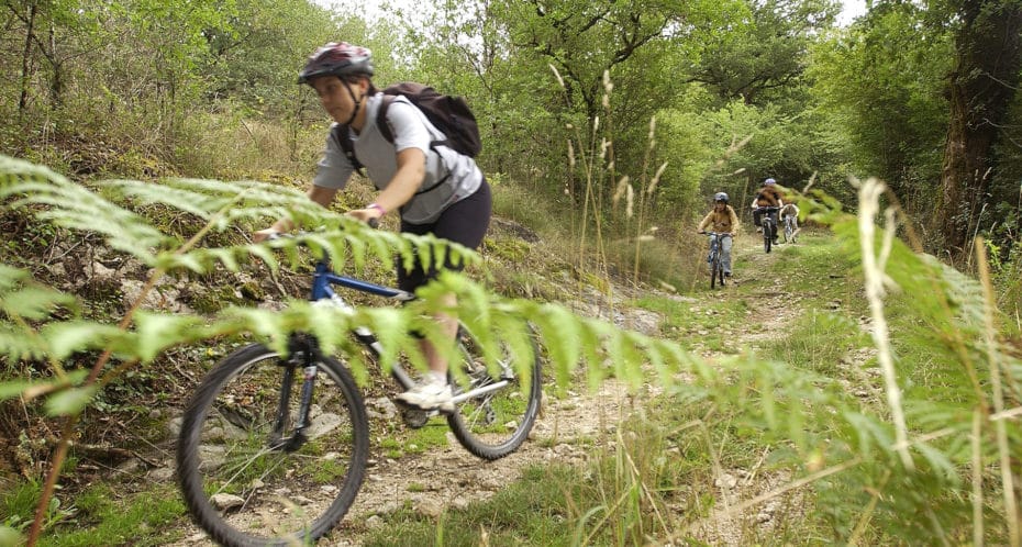 VTT sur un sentier ombragé