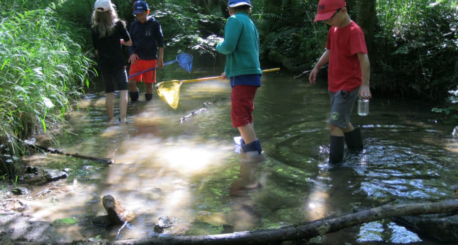 petits pêcheurs en action