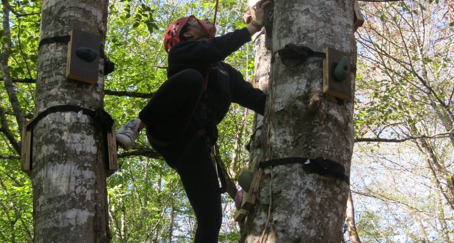 grimper aux arbres au CPA Lathus