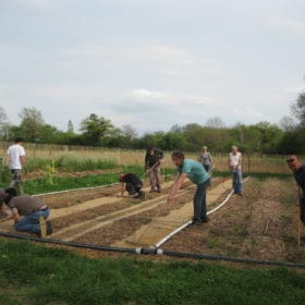 travail au jardin potager