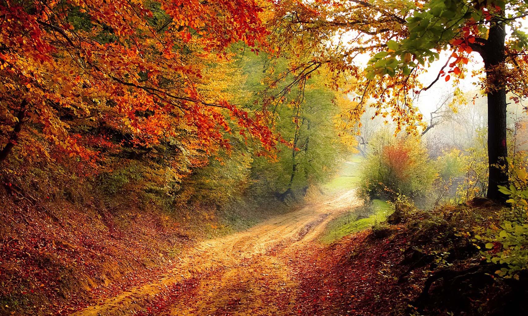 ENS La Loge, Pouillé : Balade sensorielle d’automne