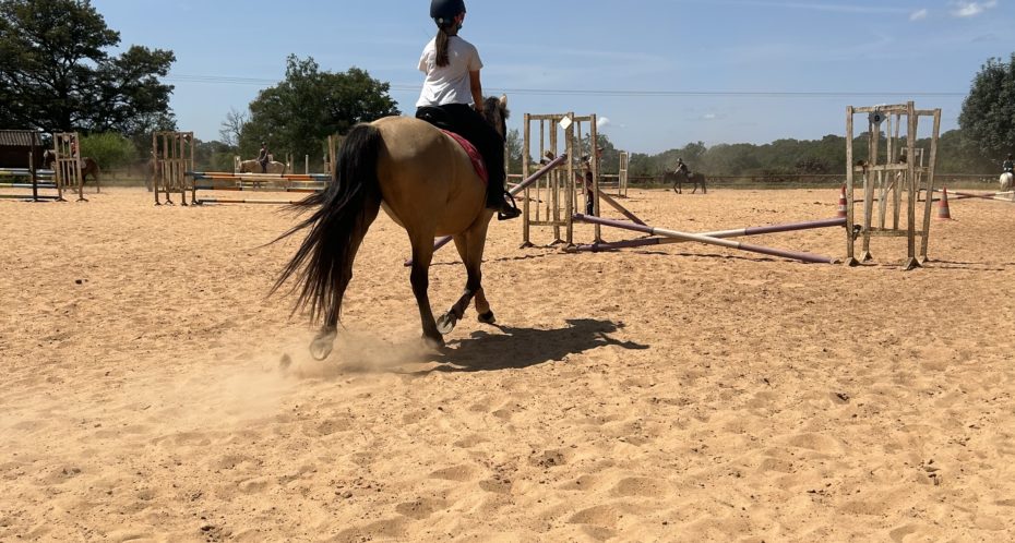 stage passage de galop 1 et 2