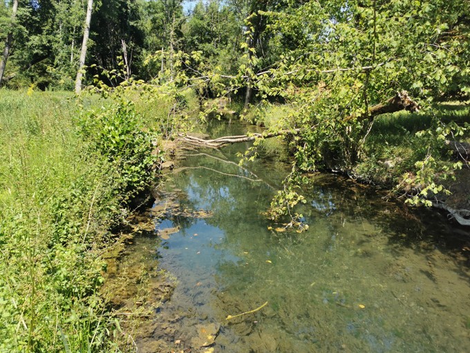 Chantier participatif : redonnons vie à la rivière